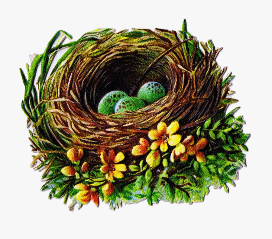 Bird Nest And Egg Graphics 5 - Printable Images Of Bird Nests, Transparent Clipart