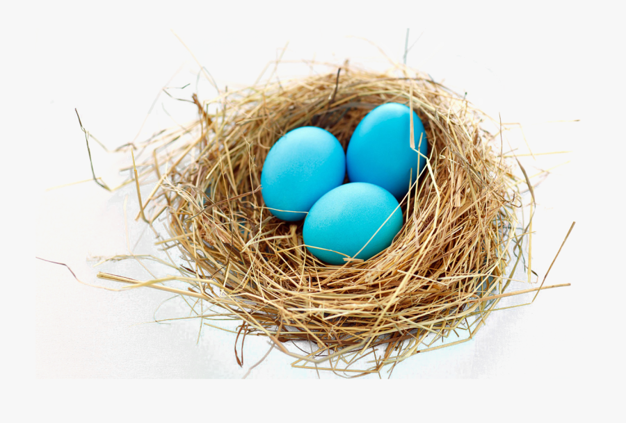 Nest Png Transparent, Transparent Clipart