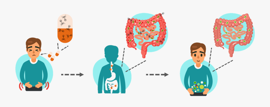 Illustration, Transparent Clipart