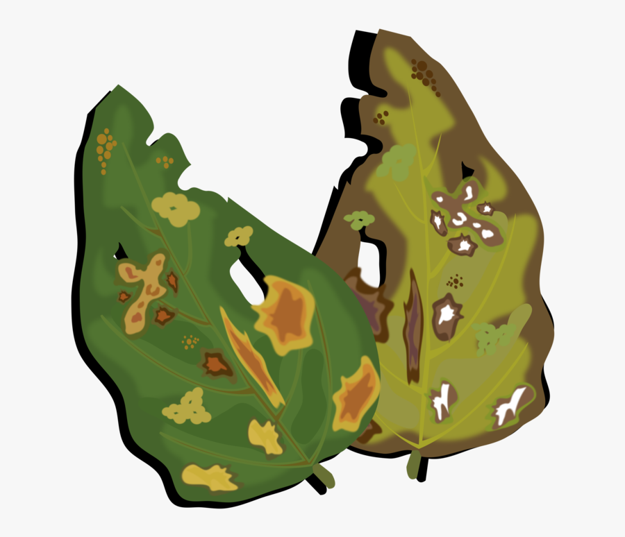 Plant,leaf,military Camouflage - Plant Disease Clipart, Transparent Clipart