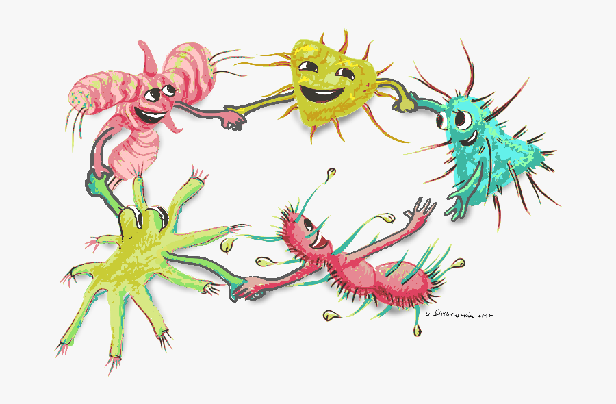 Bacterial Dance - Quorum Sensing, Transparent Clipart