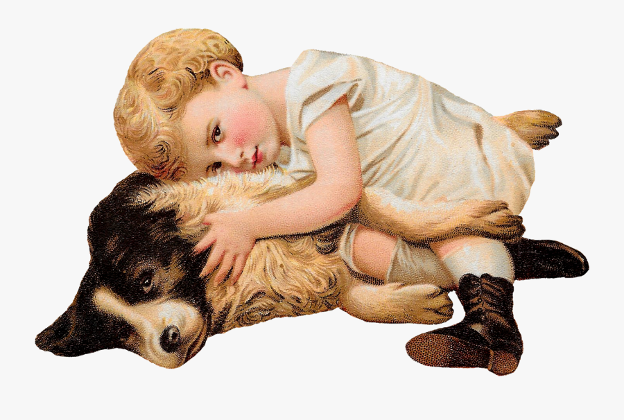 Border Collie, Transparent Clipart