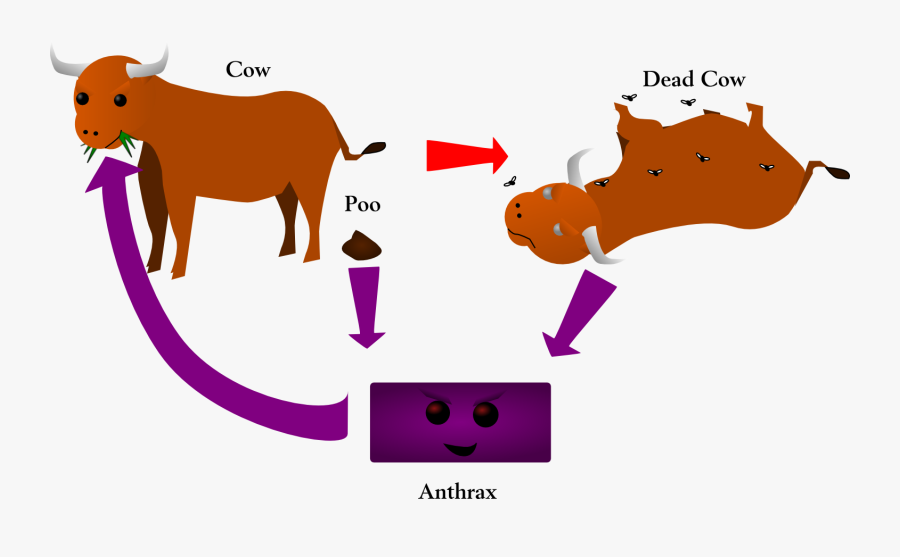 Transparent Microorganisms Clipart - Dead Cow Png Cartoon, Transparent Clipart