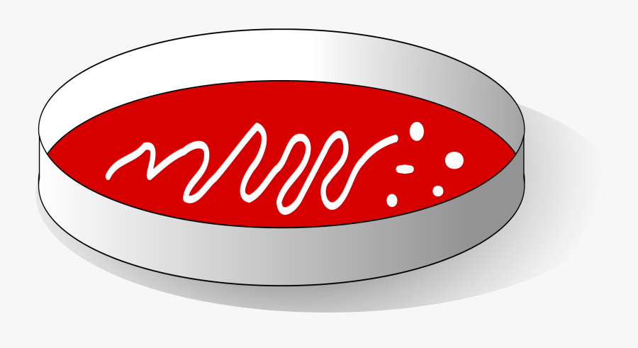 Blood Agar Png, Transparent Clipart