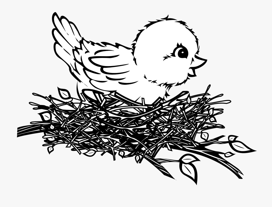 Bird In A Nest Art - Bird In Nest Clipart Black And White, Transparent Clipart