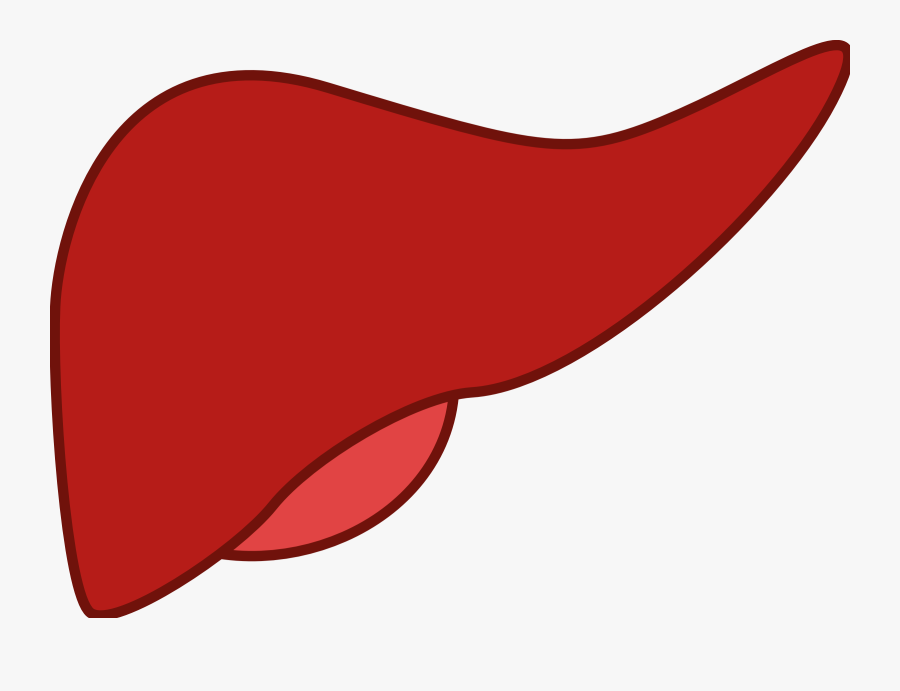 Liver-148108 1280 - Liver Clipart, Transparent Clipart