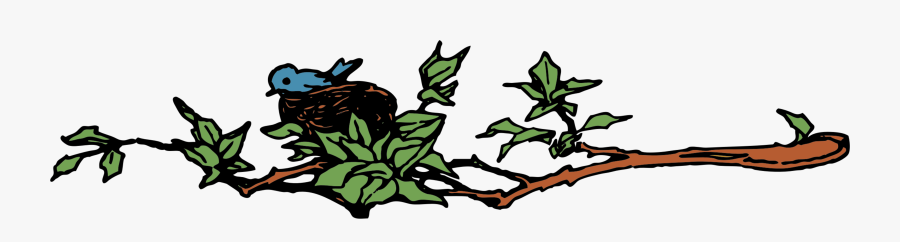 Plant,flora,leaf - Bird's Nest Png, Transparent Clipart