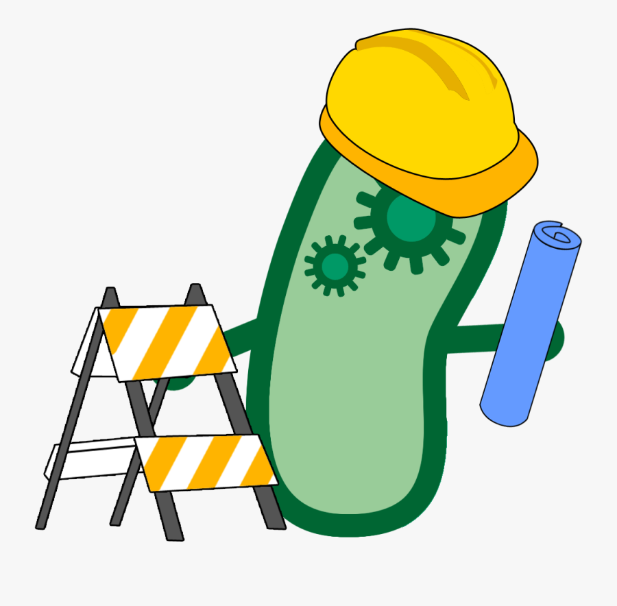 In Order To Put Our Toxin-detecting Bacteria To Use, - International Genetically Engineered Machine, Transparent Clipart
