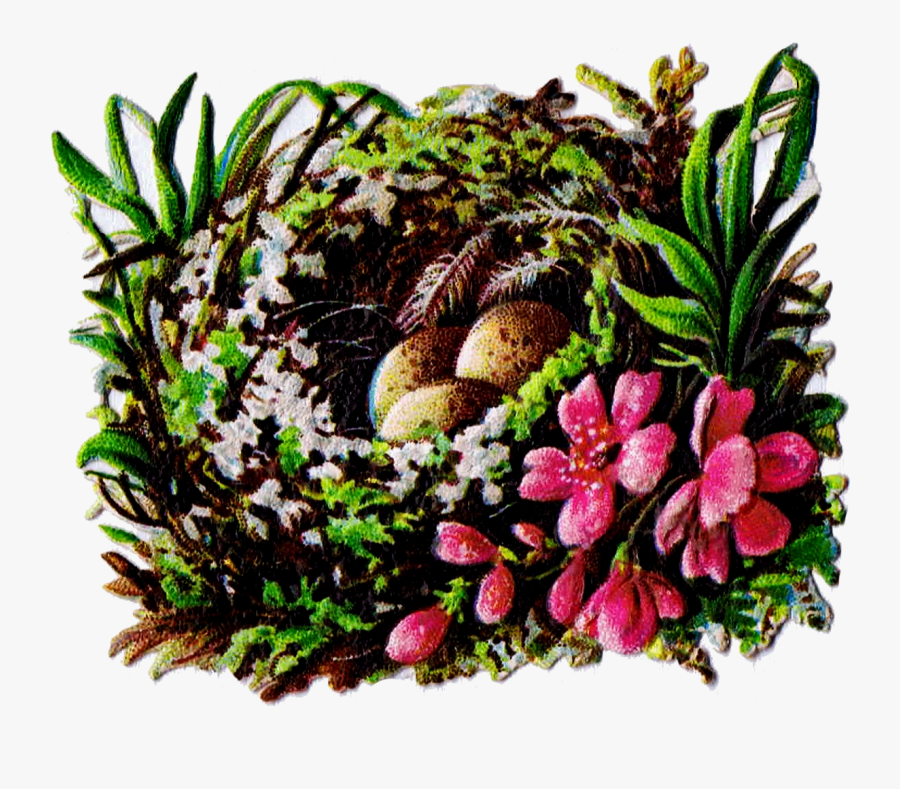 Free Printable Bird Nest Clip Art Royalty Antique Graphics - Christmas Birds Nest Painting, Transparent Clipart