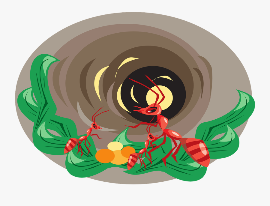 Hole, Leaves, Insects, Dirt, Nest, Ants - Ant, Transparent Clipart