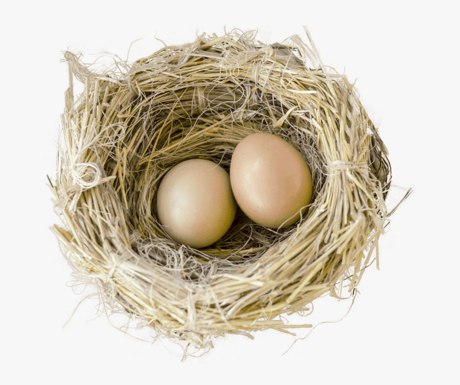 67298 - Birds Nest Transparent Background, Transparent Clipart