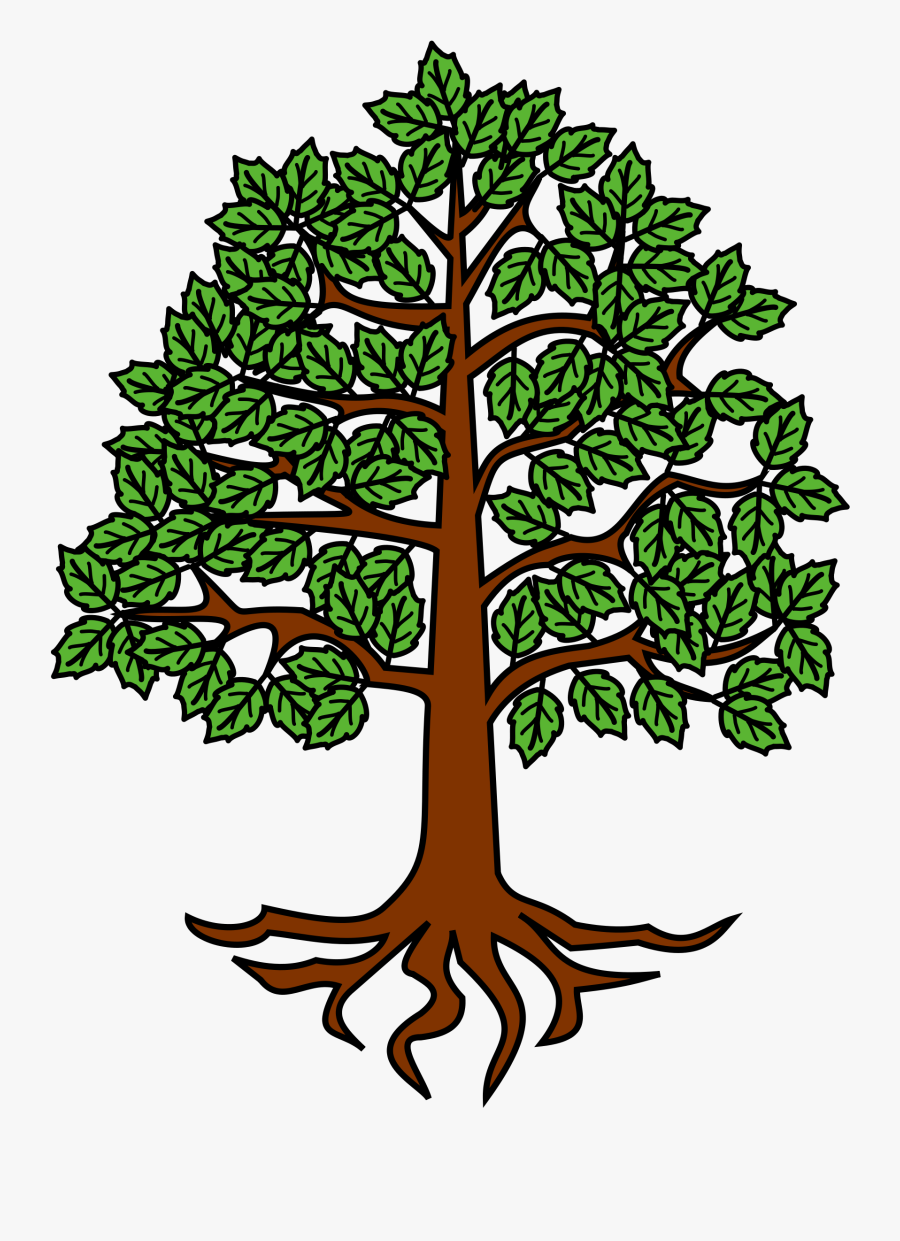 Coat Of Arms Clipart , Png Download - Beech Tree Clipart, Transparent Clipart