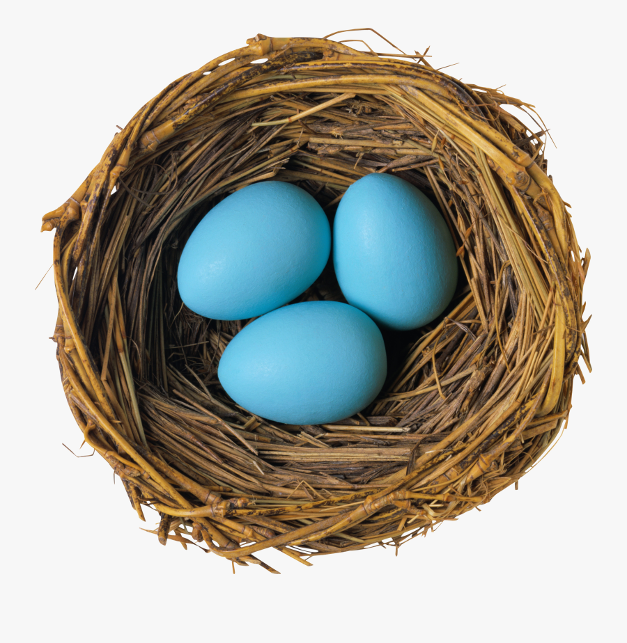 Nest Png - Nest With Eggs Png, Transparent Clipart