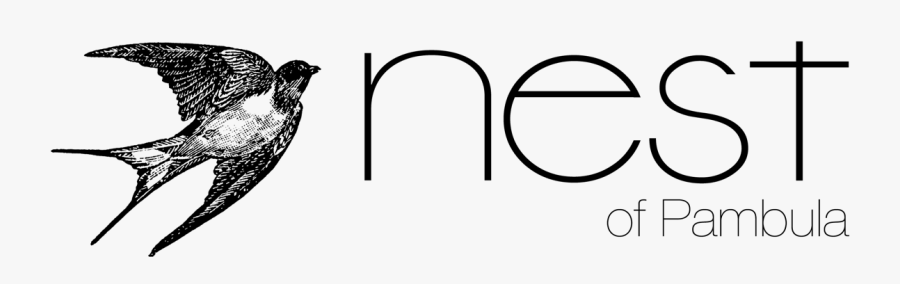 Nest Of Pambula, Transparent Clipart