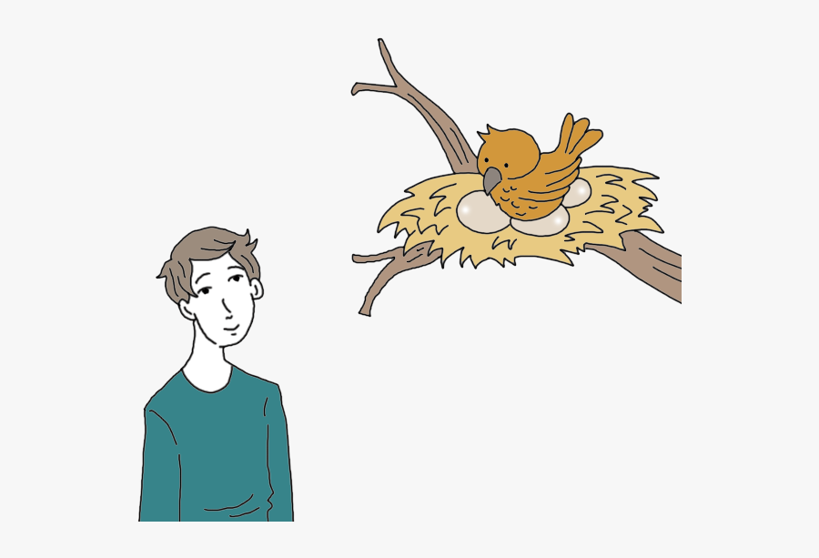 Dream Dictionary Interpret Now - Seeing Birds, Transparent Clipart