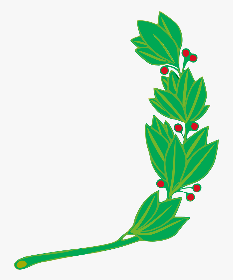 Plant,flora,leaf - Peru Symbol, Transparent Clipart