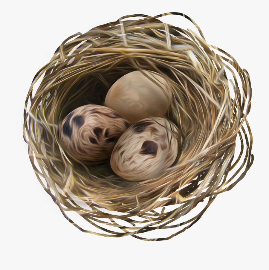 Clipart Transparent Background Nest, Transparent Clipart