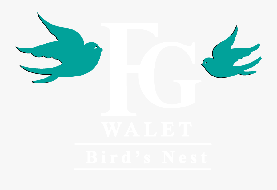 Fg Walet Bird"s Nest - Bird's Nest Fg Walet, Transparent Clipart