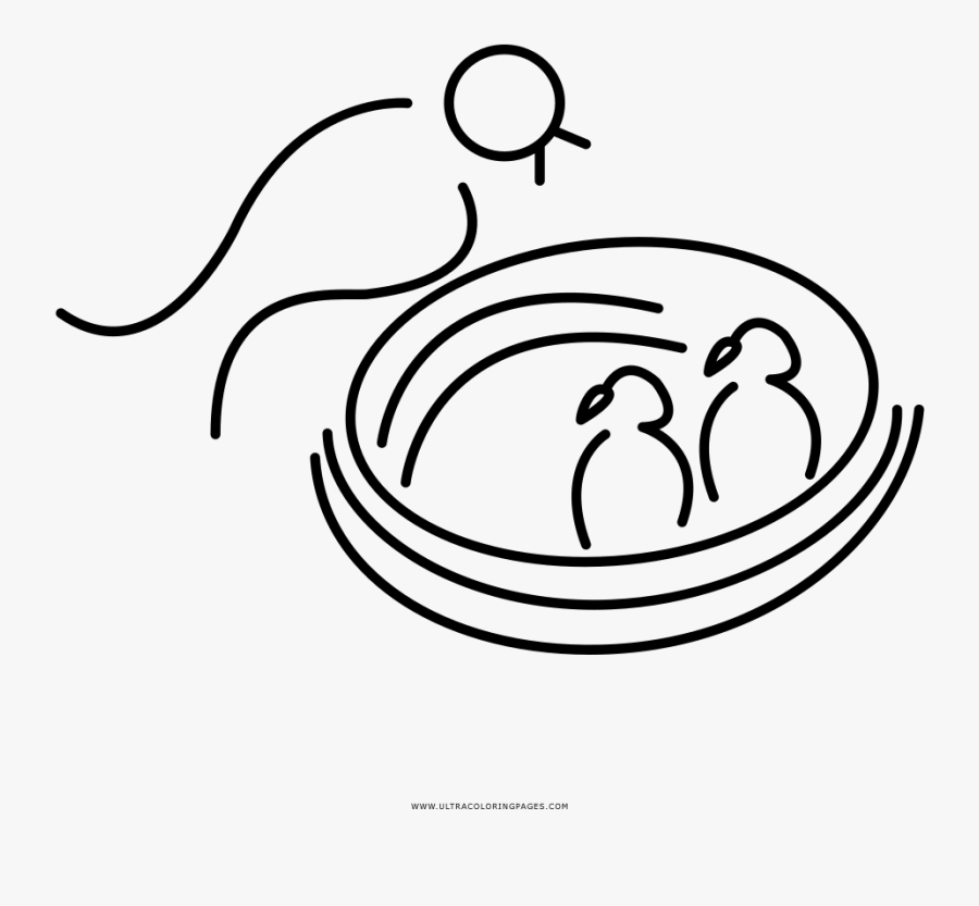 Nest Clipart Coloring - Line Art, Transparent Clipart