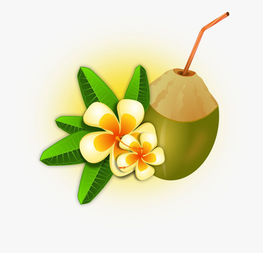 Palm Flower & Coconut Clipart, Transparent Clipart