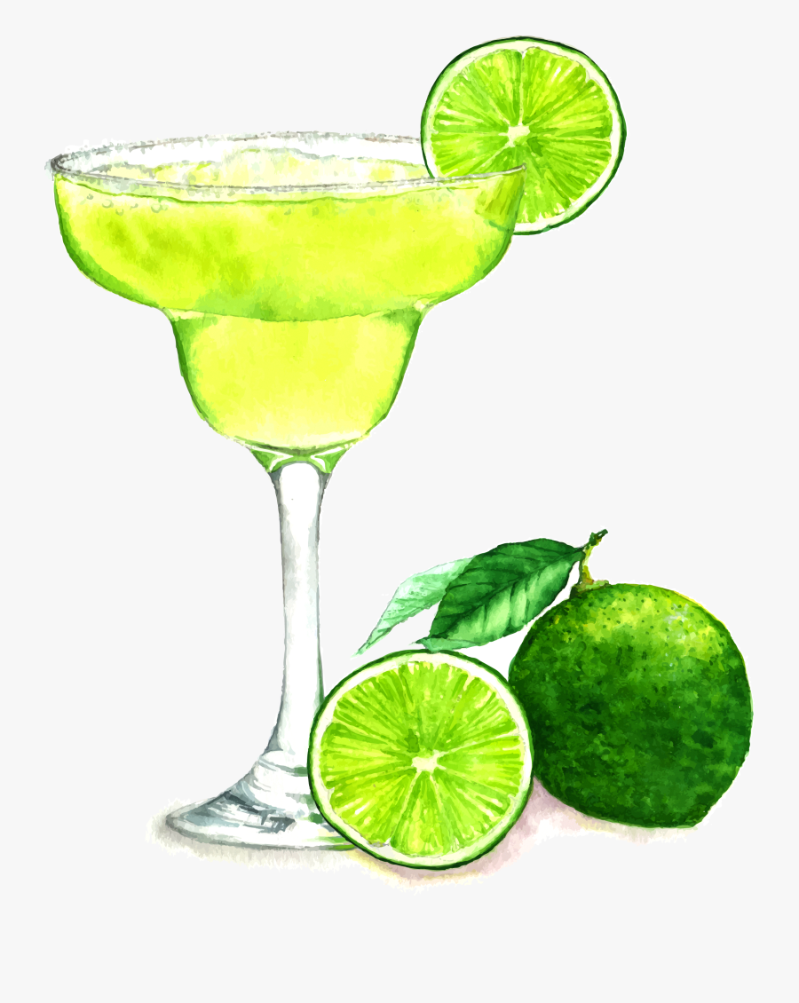 Margarita Drawing At Getdrawings