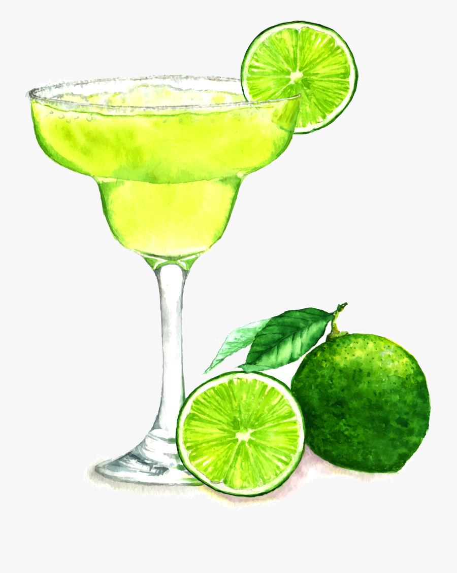 Margarita Drawing At Getdrawings - Margarita Drawing, Transparent Clipart