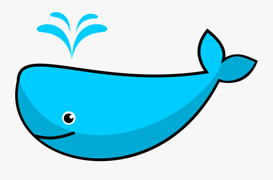 Whale Clip Art Cartoon Free Clipart Images - Blue Whale Clipart Png, Transparent Clipart