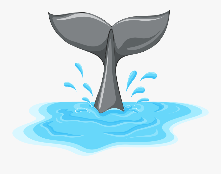 Whale Tail Png Clipart - Cola De Ballena Dibujo, Transparent Clipart