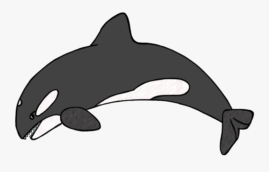 Killer Whale Clip Art Clipart Free To Use Resource - Orca Clipart, Transparent Clipart