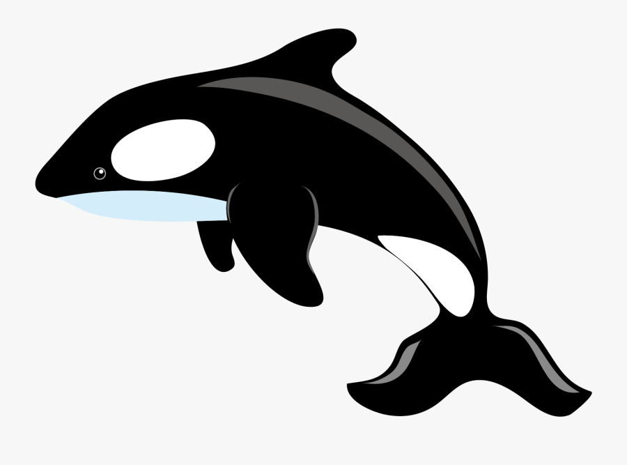 Killer Whale Blue Whale Clip Art - Whale Png Vector Black, Transparent Clipart