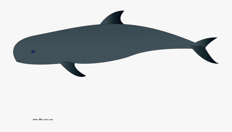 0 Whale Clip Art Clipart Fans - Wholphin, Transparent Clipart