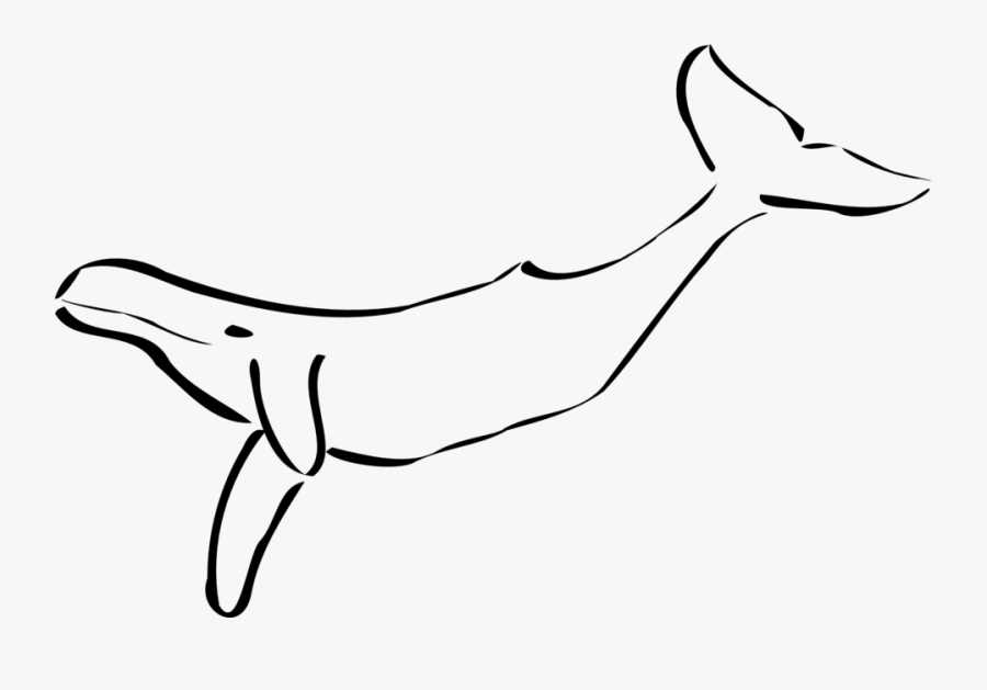 Black And White Whale Clipart, Transparent Clipart