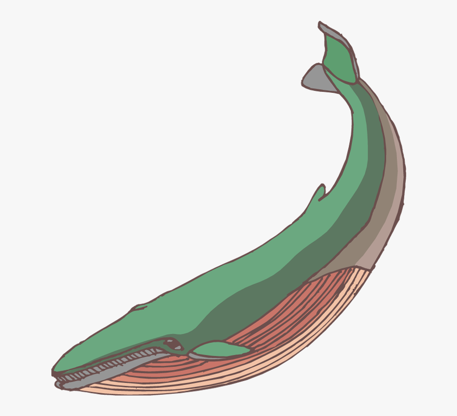 Baby Whale Clip Art Free Clipart Images - Illustration, Transparent Clipart