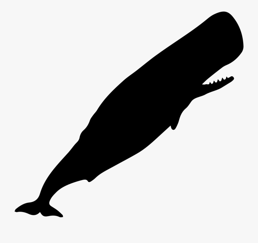Sperm Whale Silhouette Svg Png Icon Free Download - Svg Whale, Transparent Clipart