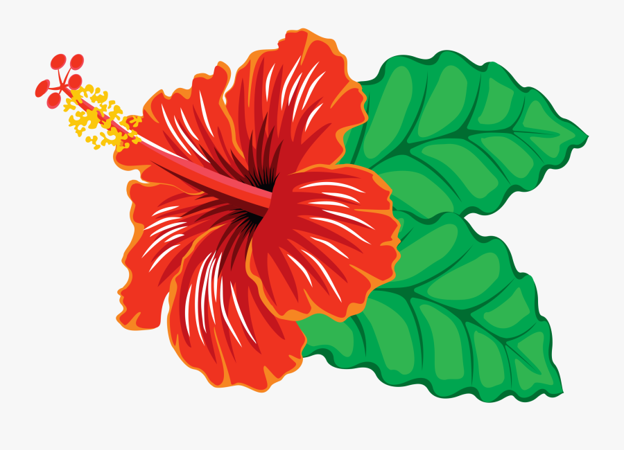 28 Collection Of Red Hibiscus Clipart - Hibiscus Clipart, Transparent Clipart