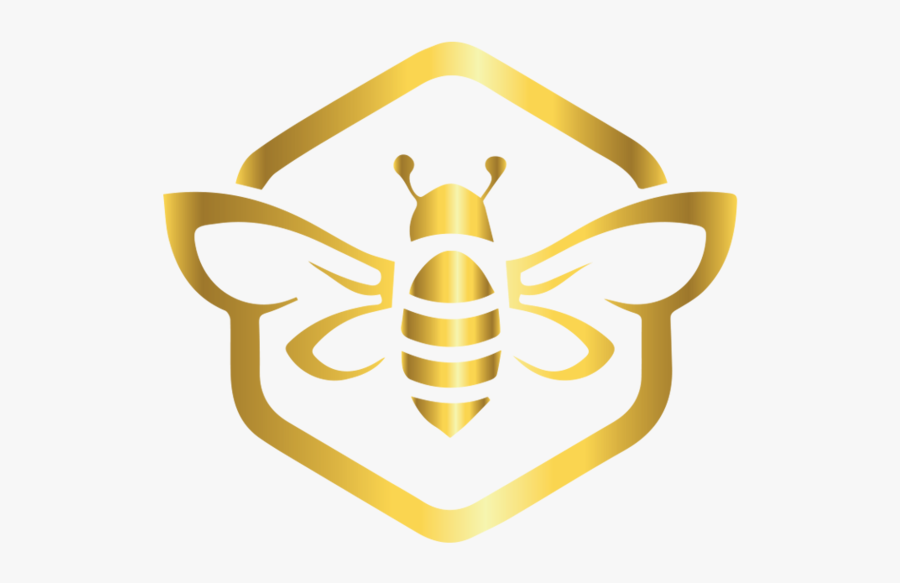 Offering Initial Cryptocurrency Token Ethereum Coin - Becoin, Transparent Clipart