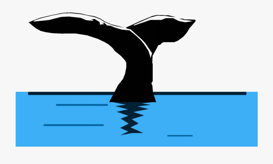 Cropped Tpeci Whale Clipart , Png Download, Transparent Clipart