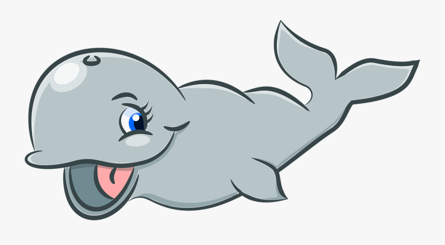 Cartilaginous Fish,marine Biology,shark - Sea Animals Cartoons Transparent Fishes, Transparent Clipart