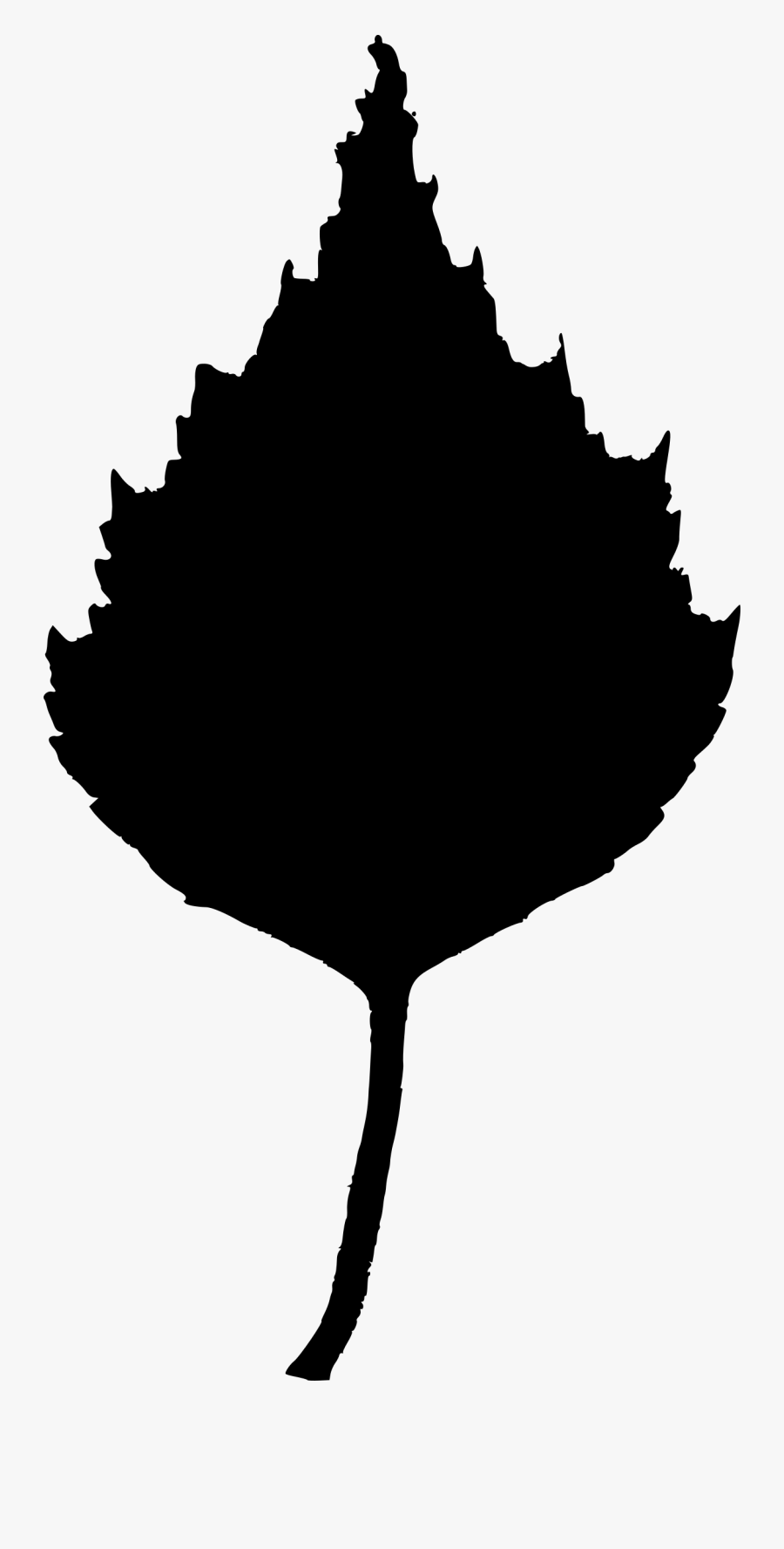 Birch Leaf Silhouette, Transparent Clipart