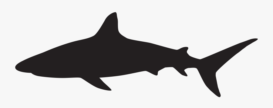 Cartoon Shark Silhouette At - Shark Silhouette Clipart Black And White, Transparent Clipart