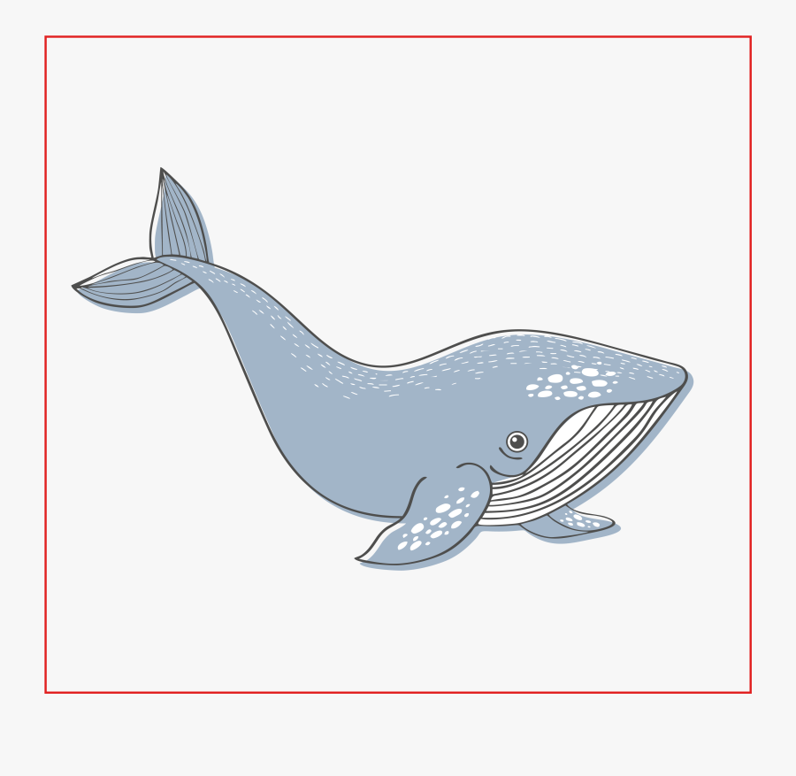 Forma Cuadarada Blue Whale - Blue Whale, Transparent Clipart