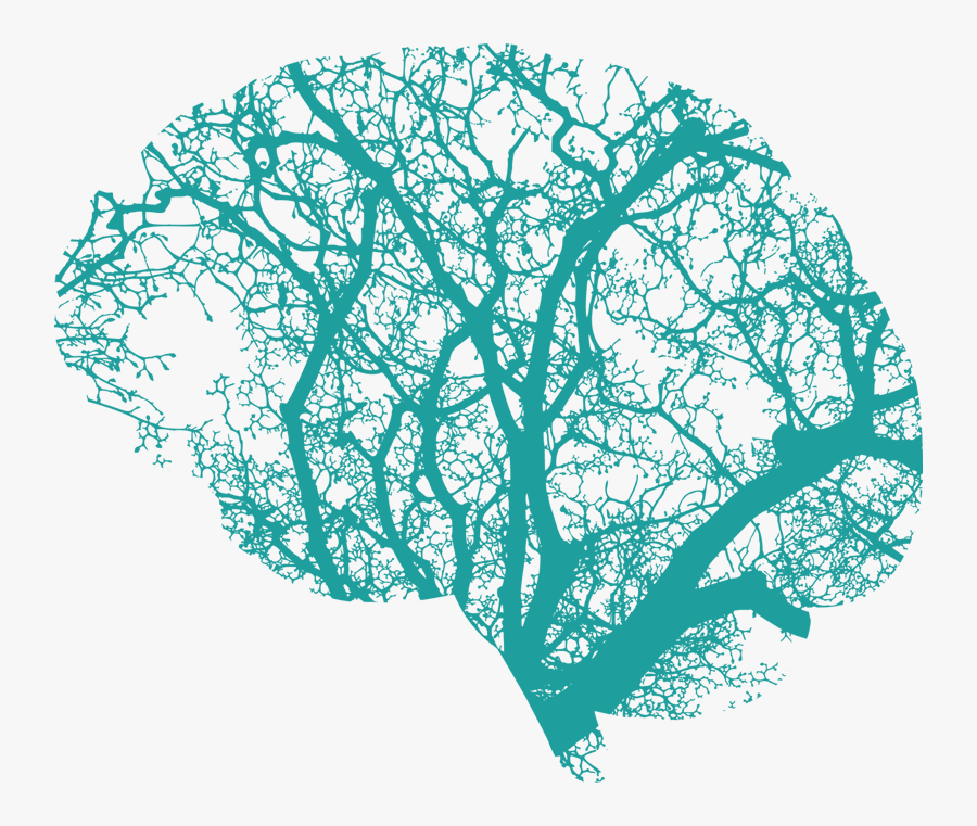 Brain Stimulation Therapy - Brain And Tree Roots, Transparent Clipart