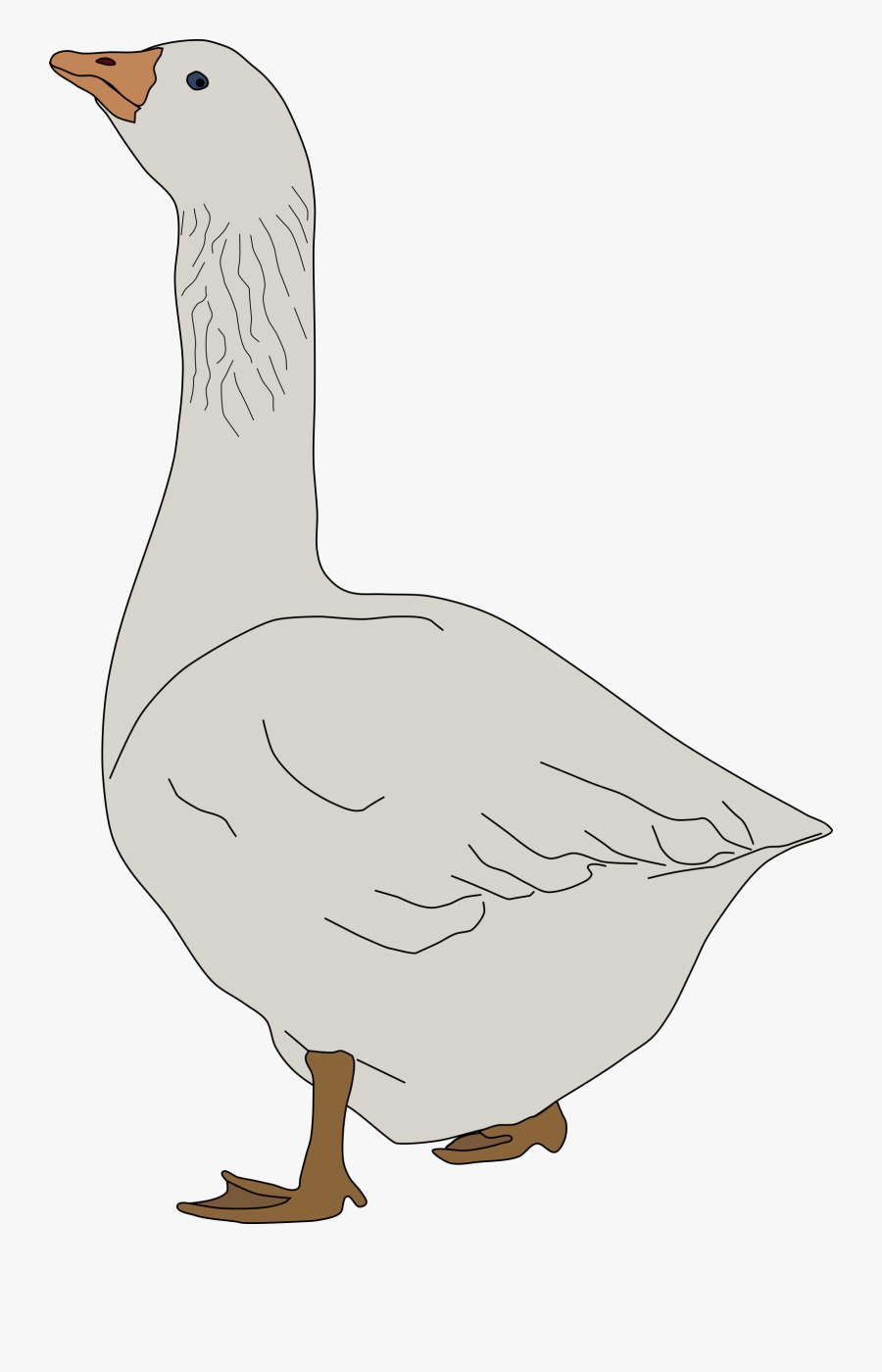 Oca De Pie - Clipart Goose, Transparent Clipart