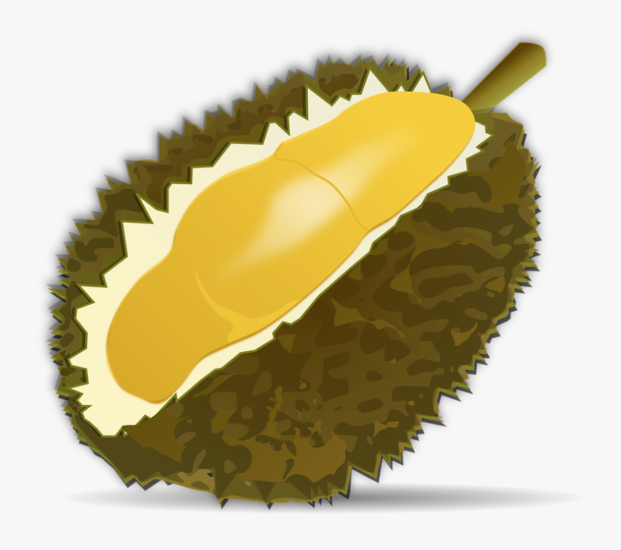 Buah Durian Vector Png, Transparent Clipart