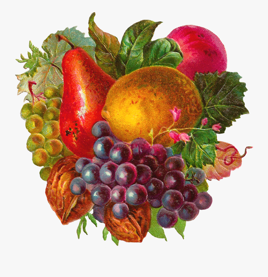Vintage Fruits, Transparent Clipart