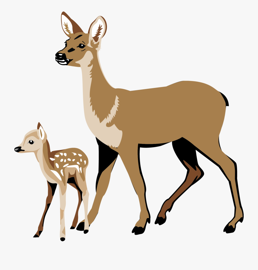 White Tailed Deer Clipart, Transparent Clipart