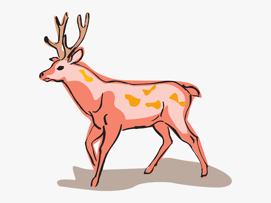 Red Deer Clipart, Transparent Clipart