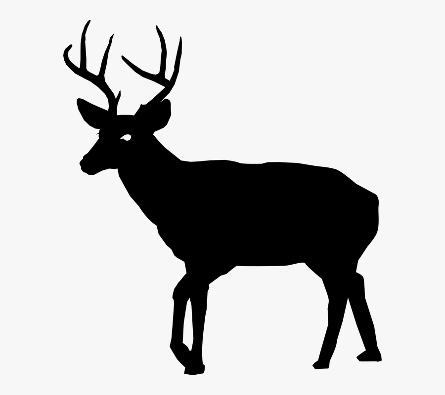 Art,stencil,graphics - Buck Black And White, Transparent Clipart