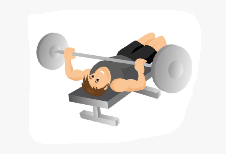 Exercise Bench Clipart Bmi - Decline Bench Press Position, Transparent Clipart