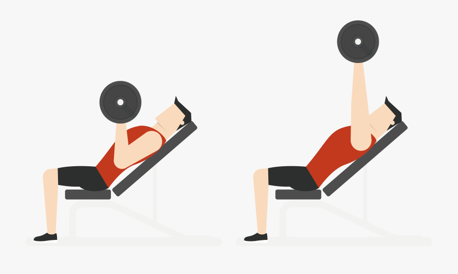 Exercise Bench Clipart Transparent - Exercise Gym Vector Png, Transparent Clipart